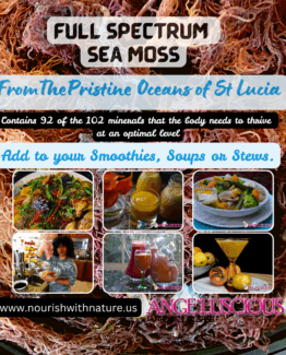 Full Spectrum Sea Moss; 100% Wild Crafted